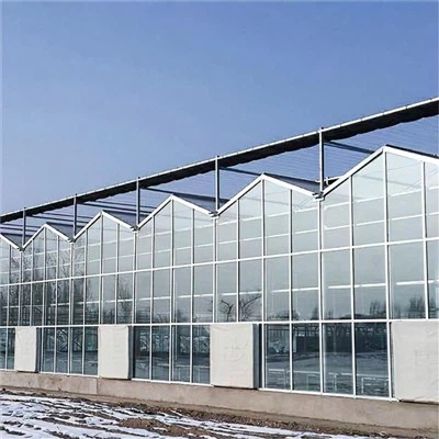 マルチスパンVENLOタイプの温室